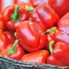 Paprika / kg